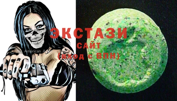 тгк Богородицк