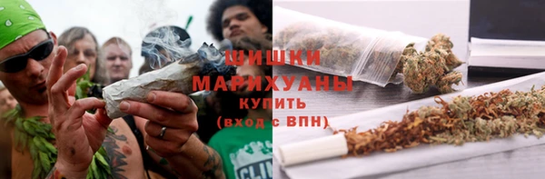 тгк Богородицк