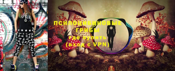 2c-b Богданович