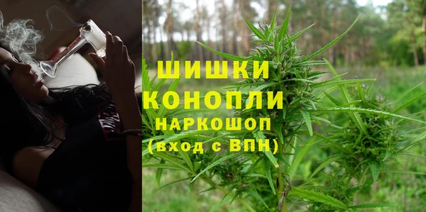 мдпв Богородск