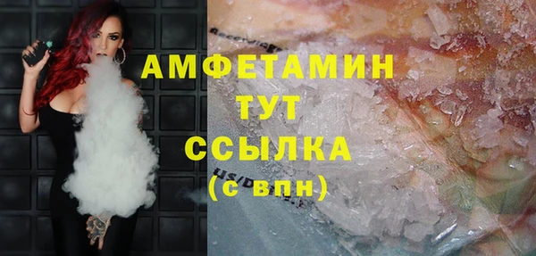 мдпв Богородск