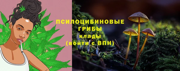 тгк Богородицк
