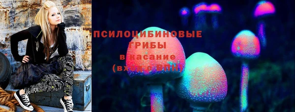 тгк Богородицк
