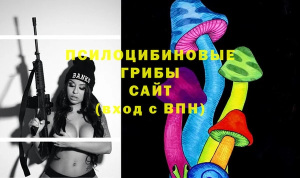 тгк Богородицк