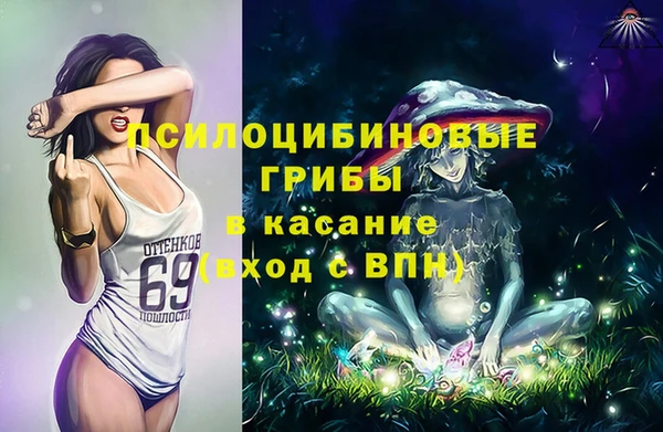 2c-b Богданович