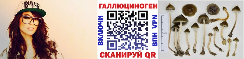 Купить  Новоаннинский  Псилоцибиновые грибы ЛСД 